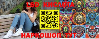 прущие крисы Бердск