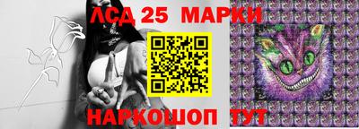 прущие крисы Бердск